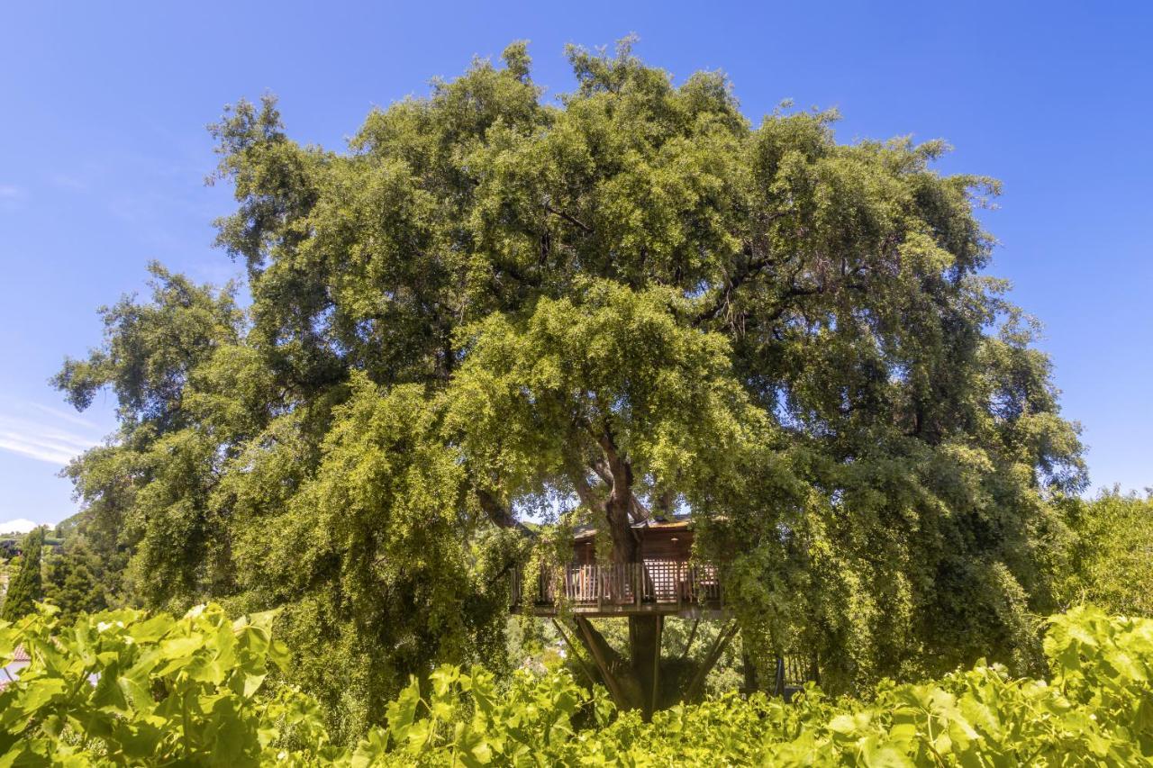 Chateau De Valmer La Croix-Valmer Kültér fotó