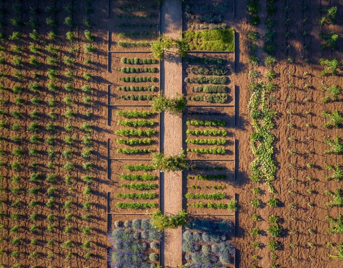 Chateau De Valmer La Croix-Valmer Kültér fotó