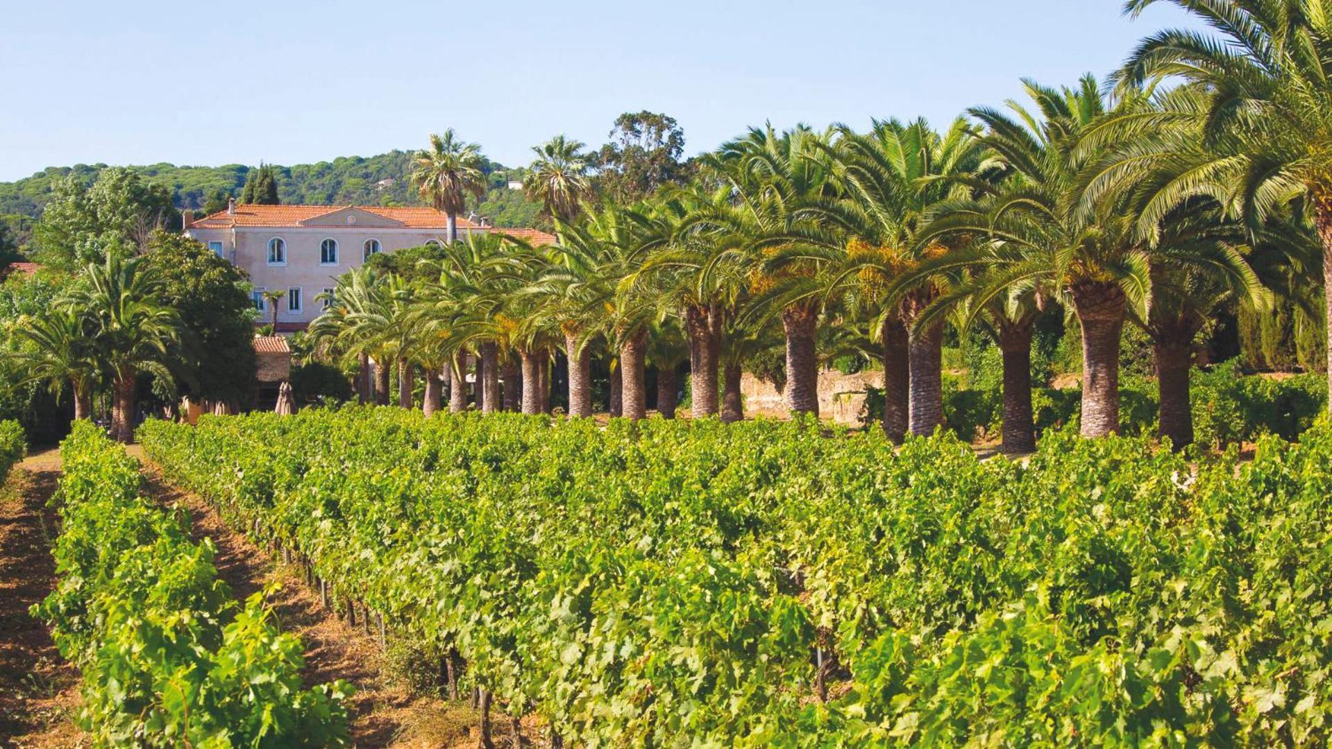 Chateau De Valmer La Croix-Valmer Kültér fotó